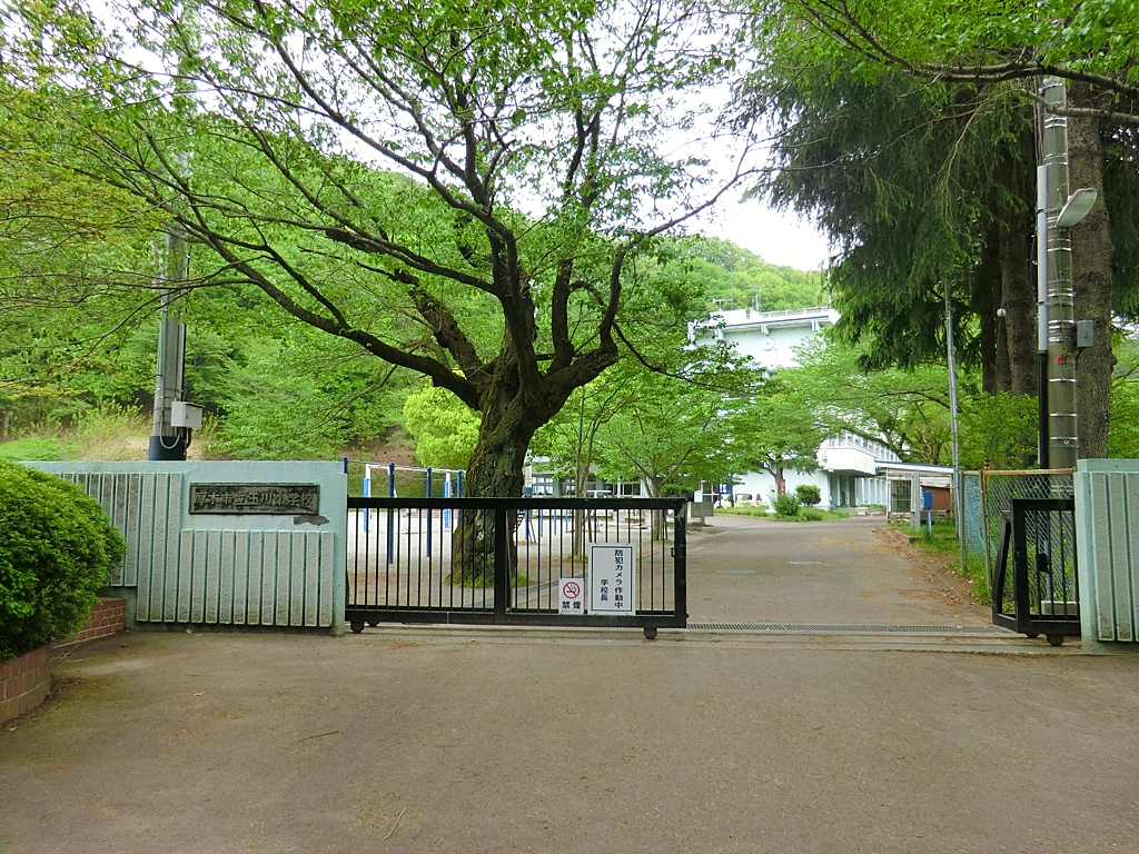 玉川小学校の写真