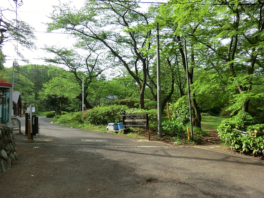 飯山白山森林公園の写真